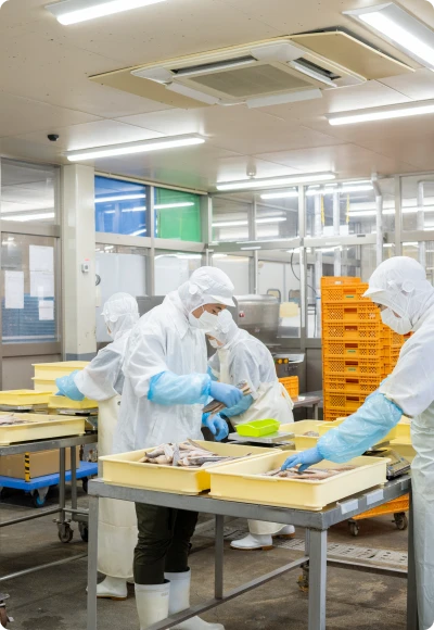 水産加工事業のイメージ
