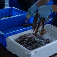 ヤマダイグループについてスライダー18