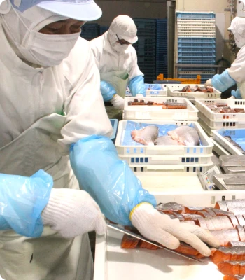 営業・営業事務